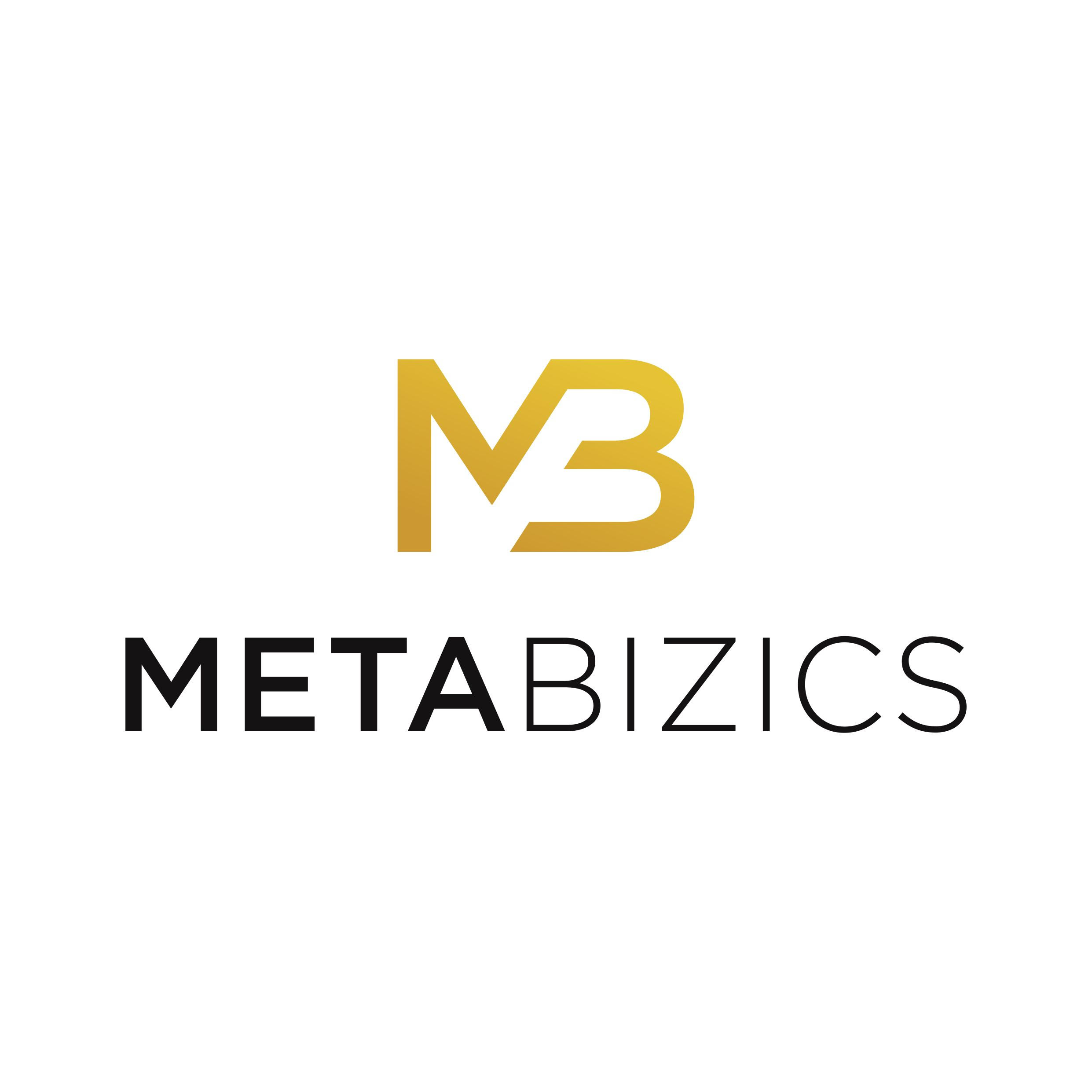 MetaBizics LLC